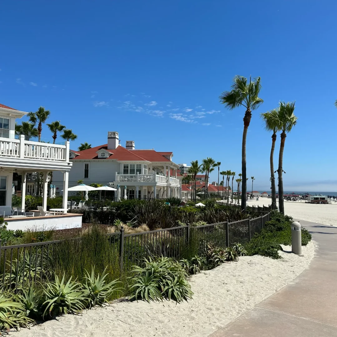 VICI-languages-LIVE-USA-Californie-photo-01