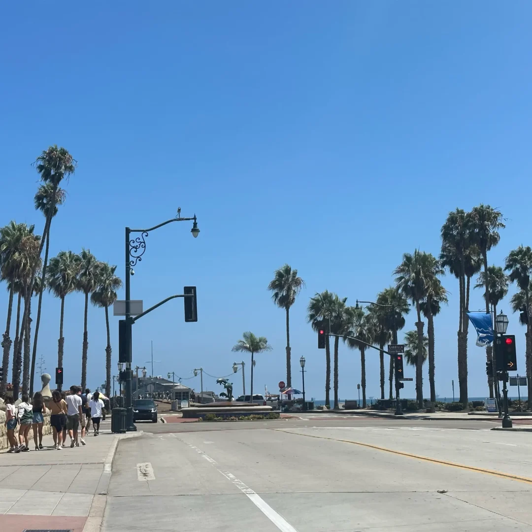 VICI-languages-LIVE-USA-Californie-photo-03