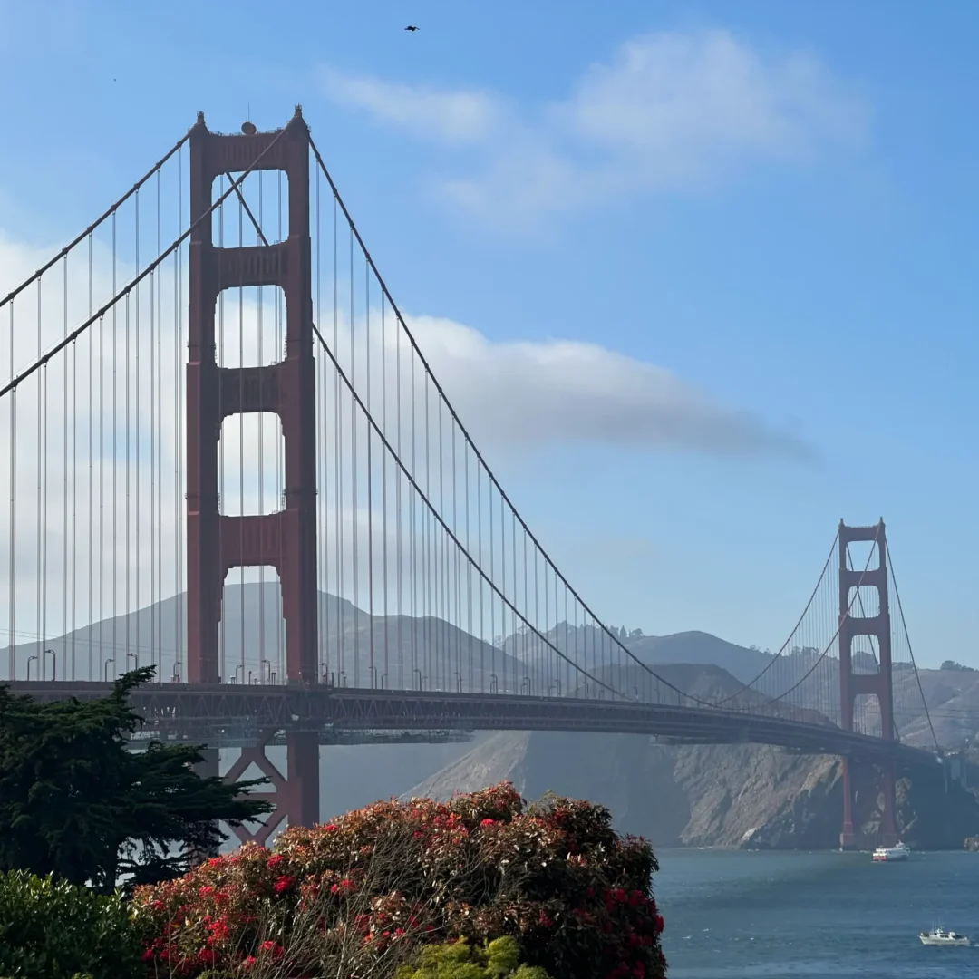 VICI-languages-LIVE-USA-Californie-photo-11