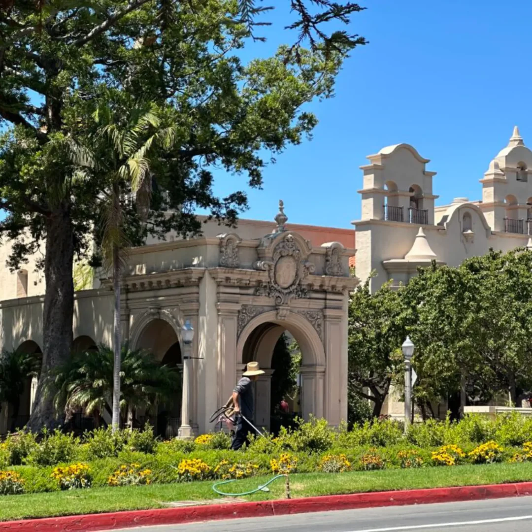 VICI-languages-LIVE-USA-Californie-photo-17