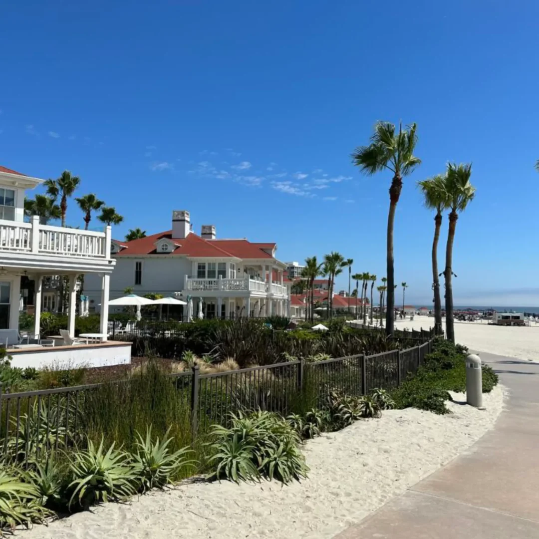 VICI-languages-LIVE-USA-Californie-photo-18