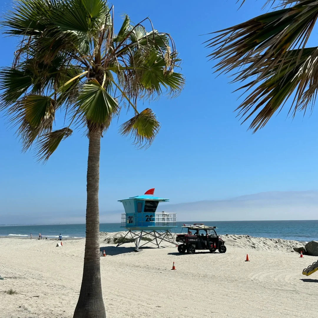 VICI-languages-LIVE-USA-Californie-photo-25