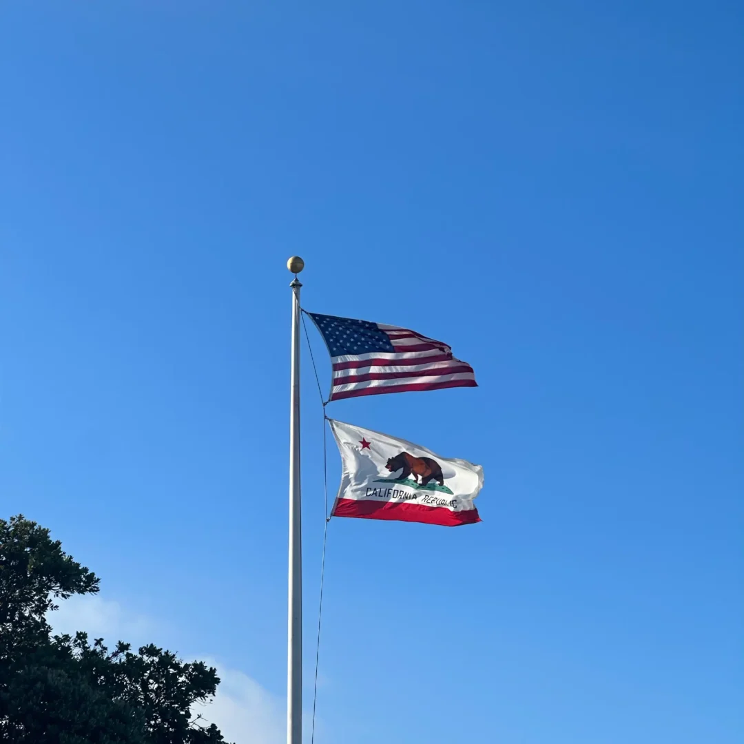VICI-languages-LIVE-USA-Californie-photo-40