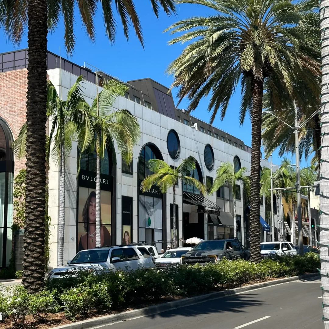 VICI-languages-LIVE-USA-Californie-photo-48